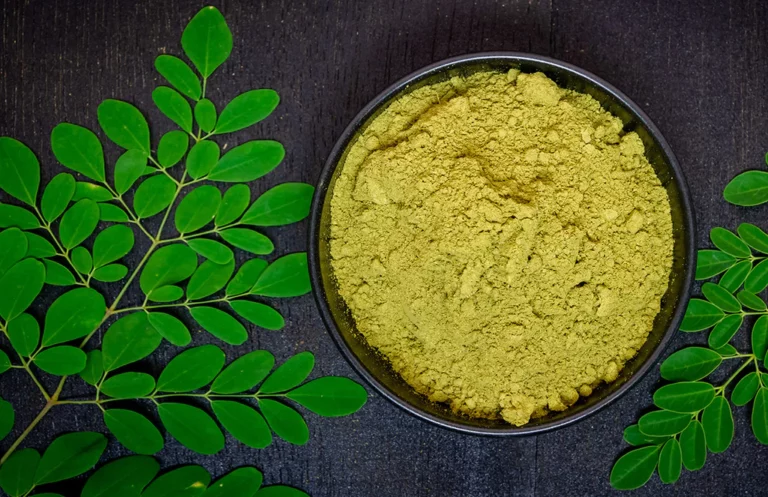 Moringa Powder Unleashed: Unveiling Its Powerful Benefits from Leaf to Life